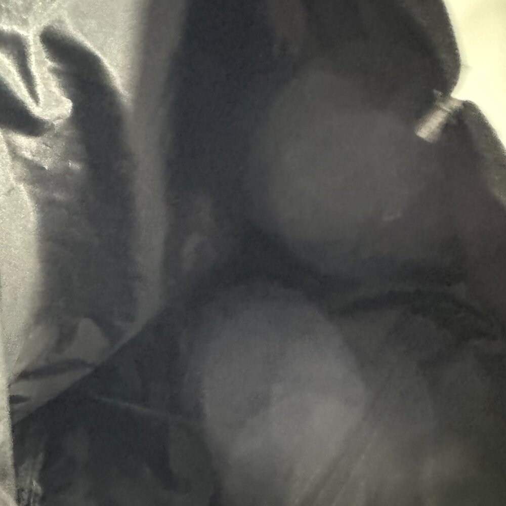 NWOT On Running The Ambassador Tote Backpack. Black - Picture 9 of 12